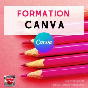 Apprenez à créer des visuels professionnels grâce à une formation Canva accessible et efficace