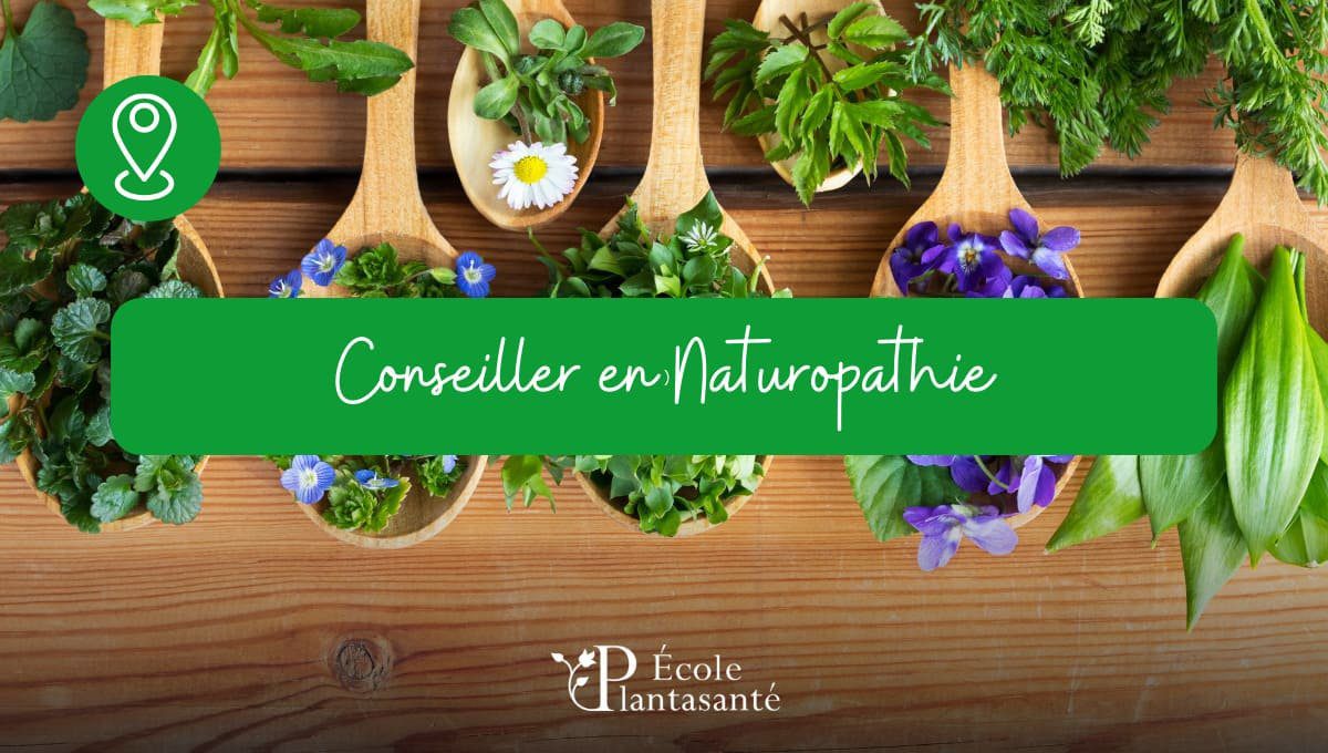 formation conseiller en naturopathie