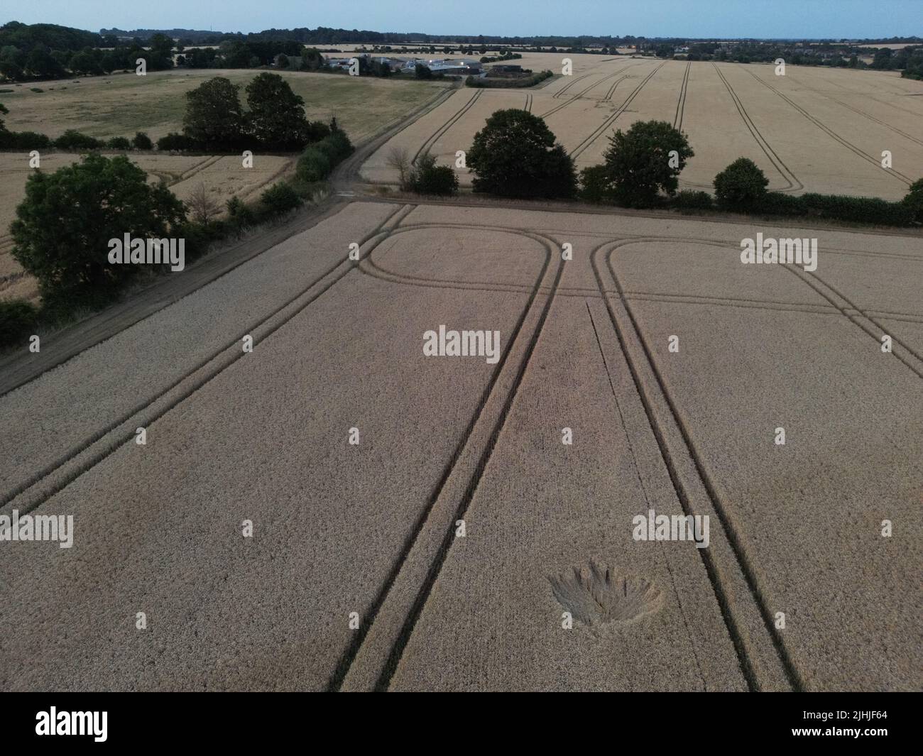 Crop Formation